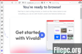Vivaldi Browser 6.5.