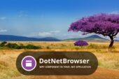 DotNetBrowser 1.21.2