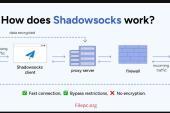 Shadowsocks 4.4.1.0